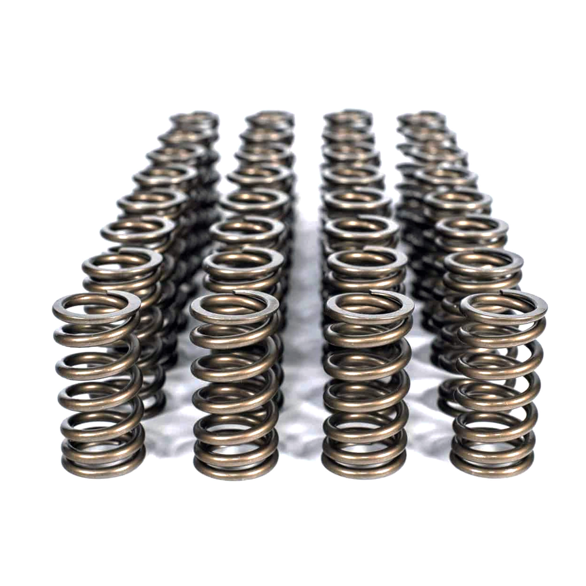 S65 Vanos Spring Plate Kit